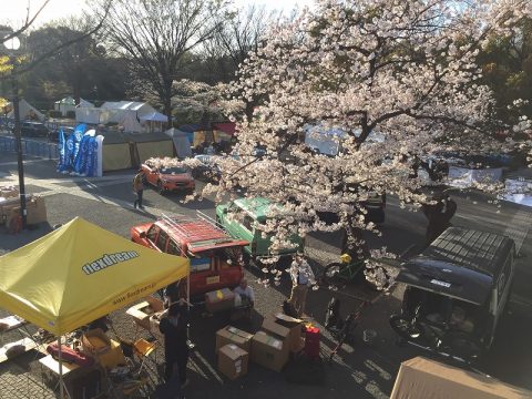 ＠代々木公園　イベント広場